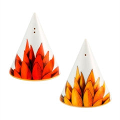 Amazonia Salt & Pepper Set Online now