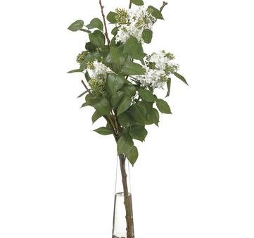 Lilac Twig in Glass Vase Cream Supply